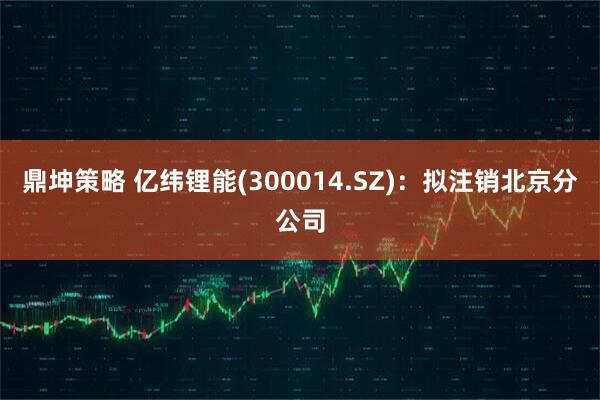 鼎坤策略 亿纬锂能(300014.SZ):拟注销北京分公司